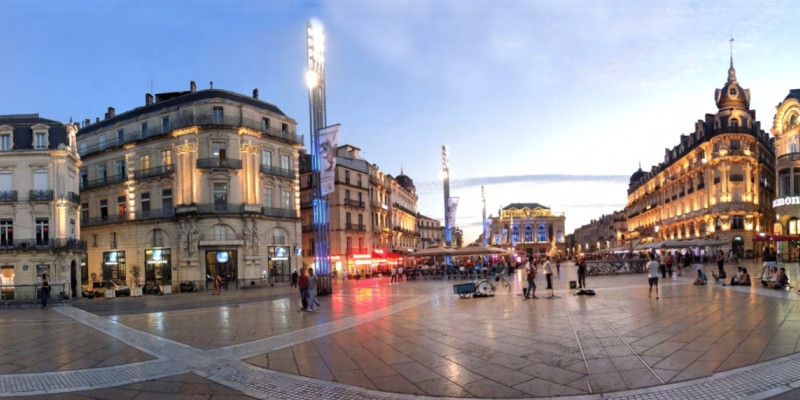 Why learn French in Montpellier?